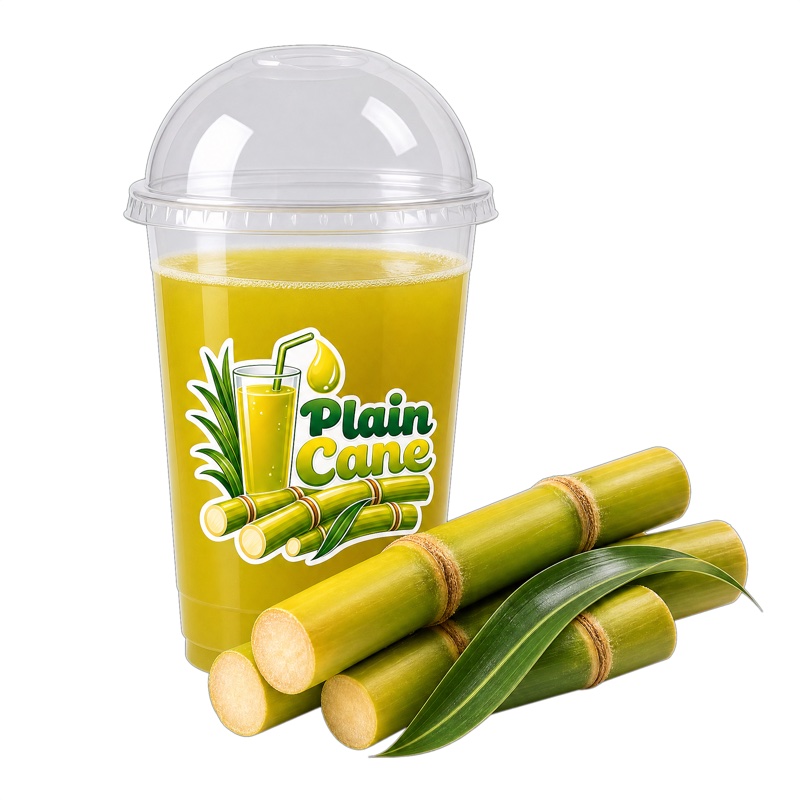 Sugarcane (Plain) - Small - 500ml