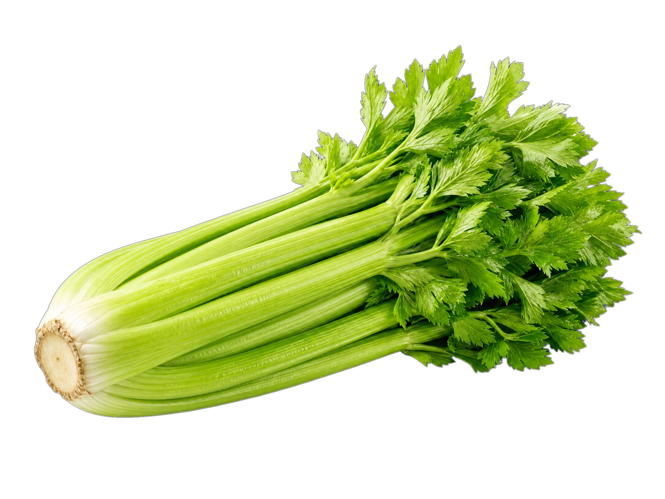 Sauce Image
