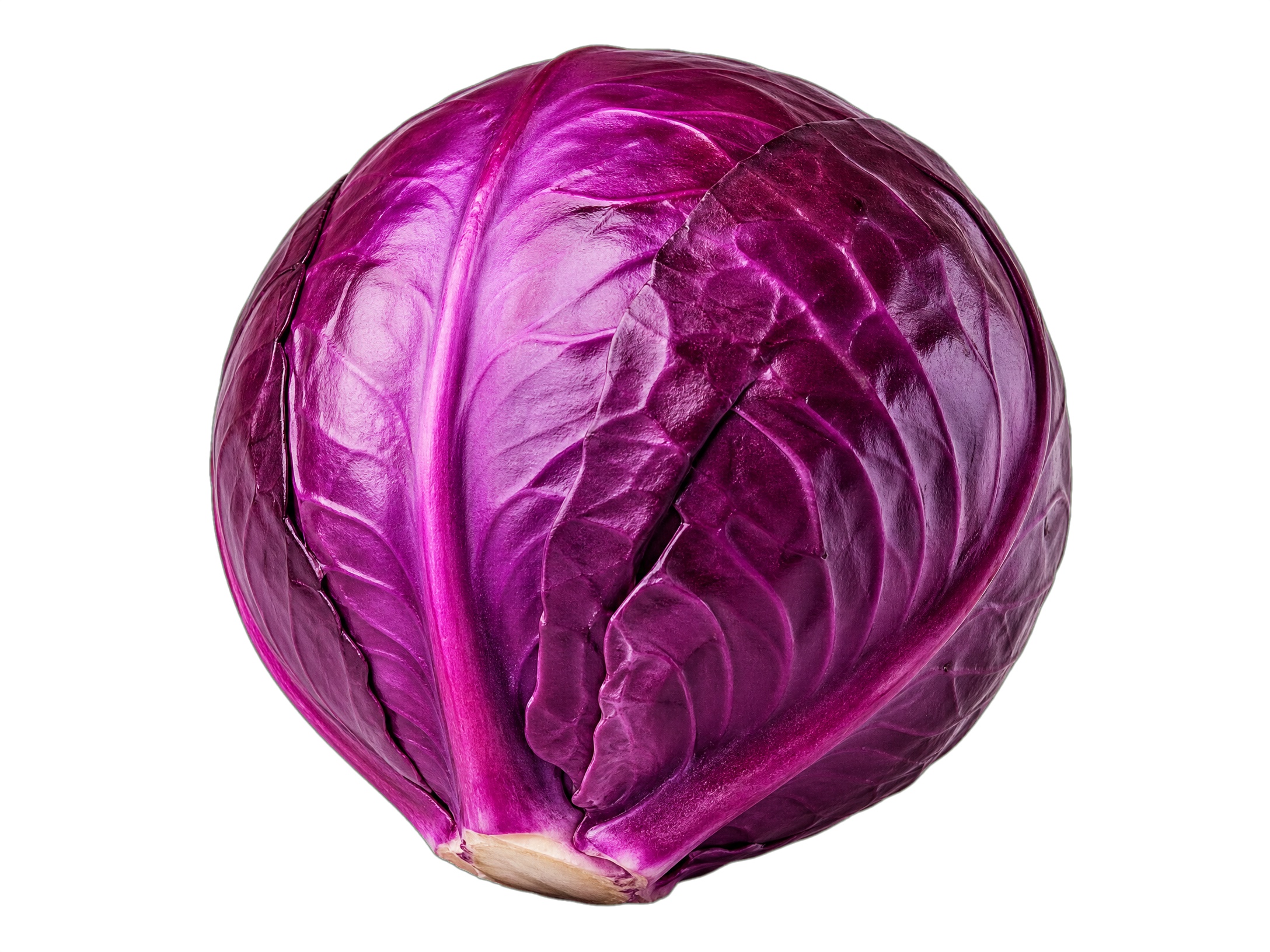 Sauce Image
